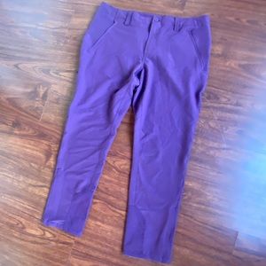 Patagonia worn wear Purple Pants